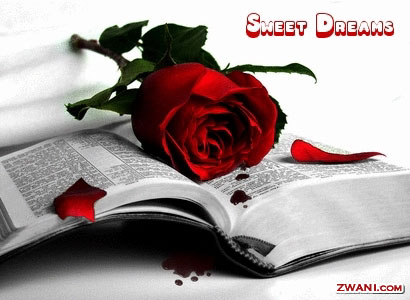 http://www.zwani.com/graphics/good_night/images/sweetdreamsbiblerose.jpg