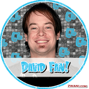 david_cook_fan.gif