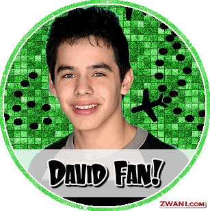 david_fan.gif