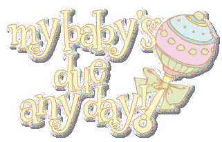 0anyday.gif