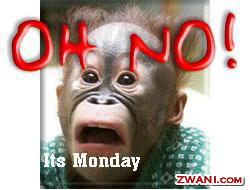 monday18.jpg