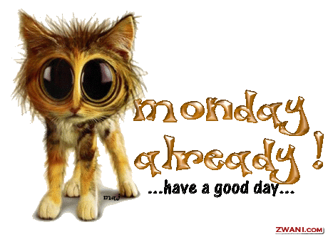 monday35.gif
