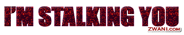 imstalking.gif