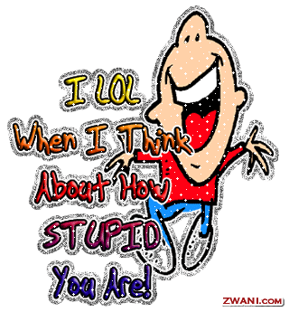 lolstupid.gif