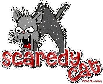 scaredycat_1.gif