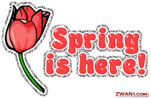 spring16.gif