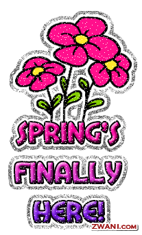 springshere01.gif