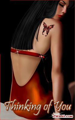 pic41.gif