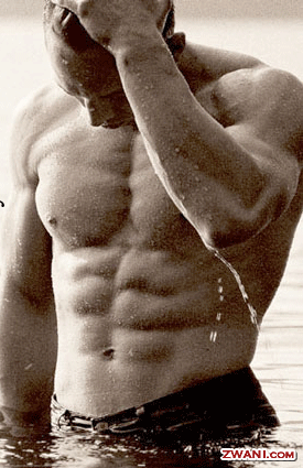 pic44.gif
