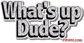 9dude.gif