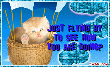 9flying_by_howru.gif