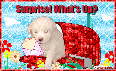 9surprise_whats_up.gif