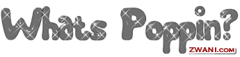 z2tt.gif